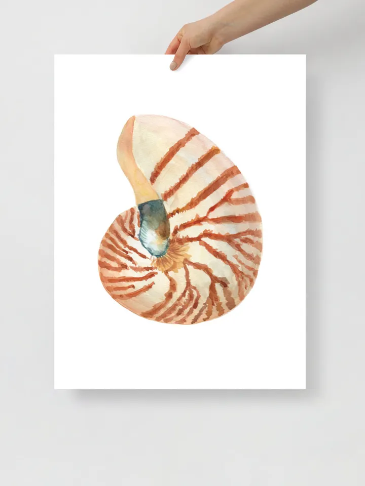 Shells, Shell art,Sea Shell Art, Shell Decor, Beach Cottage Art, Sea Shells Painting, Marine, Coastal Decor, Beach House art, Beach Artt,