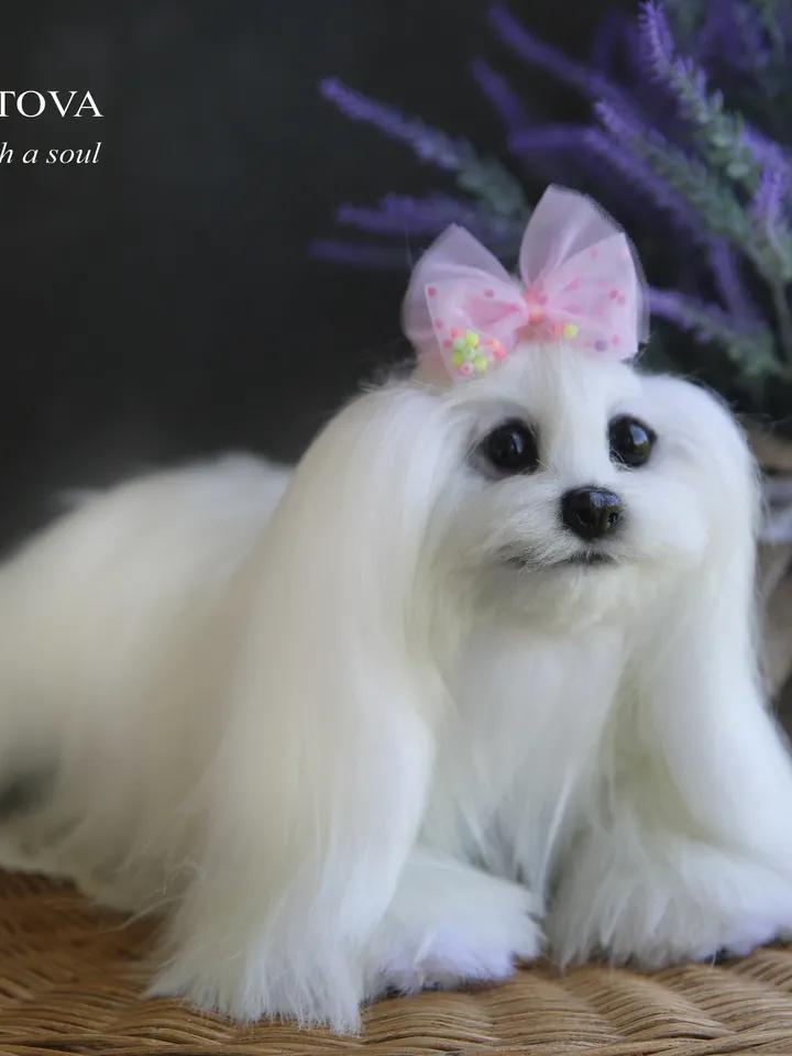 Pattern Dog | Realistic sewing toy pattern | Maltese dog | Stuffed Animals |Pattern with brief instruction for stitching