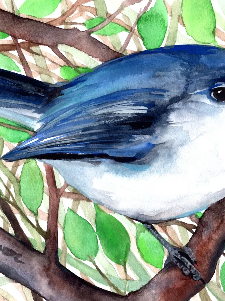 Blue bird original watercolor, birds painting, handmade wall decor, 5x7 in art for bird lovers by Anne Gorywine