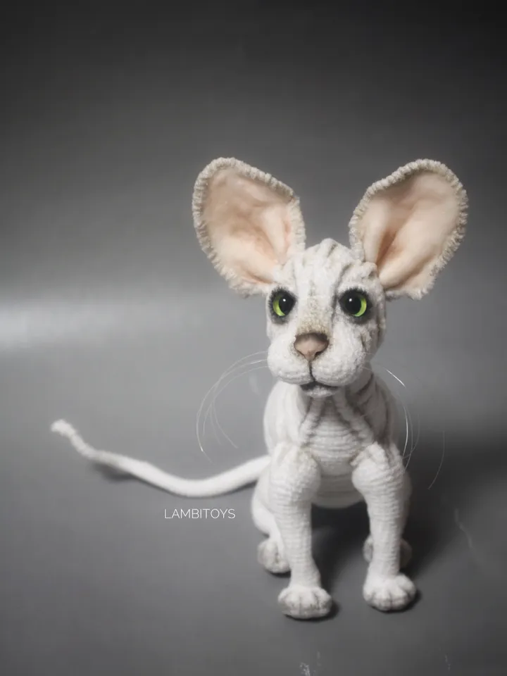 Interior cat sphinx