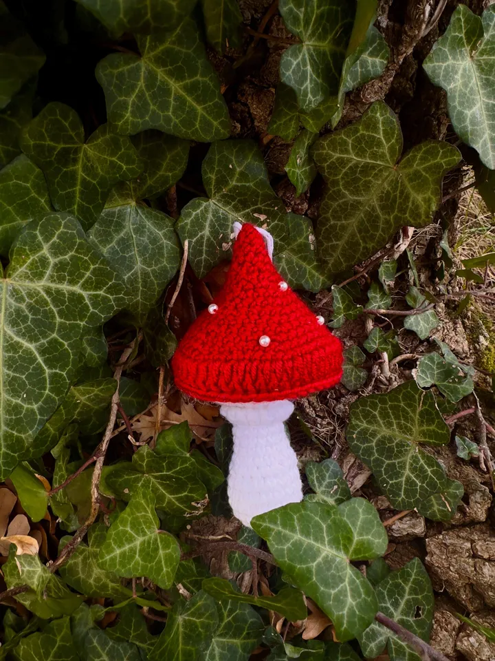 CROCHET Mushroom 3 Set: Amanita, Toadstool & Oak Leaves Perfect for Beginners Instant Digital Download PDF