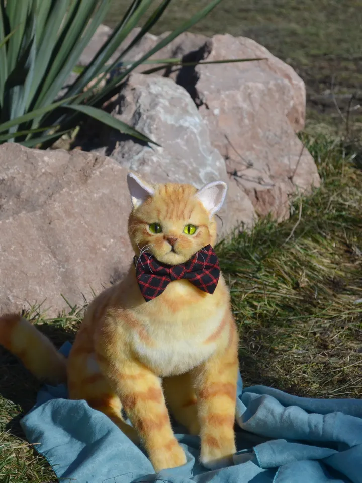 March cat.