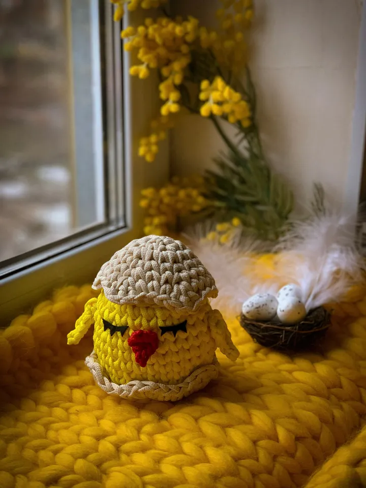 Basket chicken egg Easter, crochet interior gift, bedroom livingroom storage, table decor, eco friendly