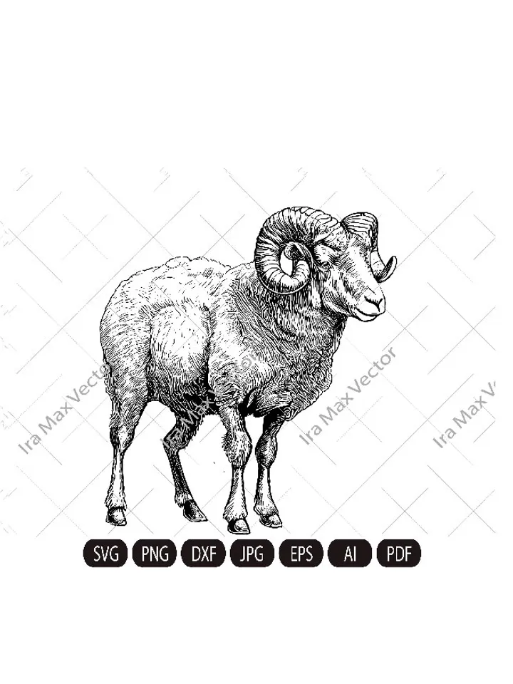 Ram Sheep SVG, Mountain sheep, Farm Animal Graphics Illustration,Ram T-Shirt ,Sheep Printable Clip Art ,Vector Digital Dxf Png Eps Ai