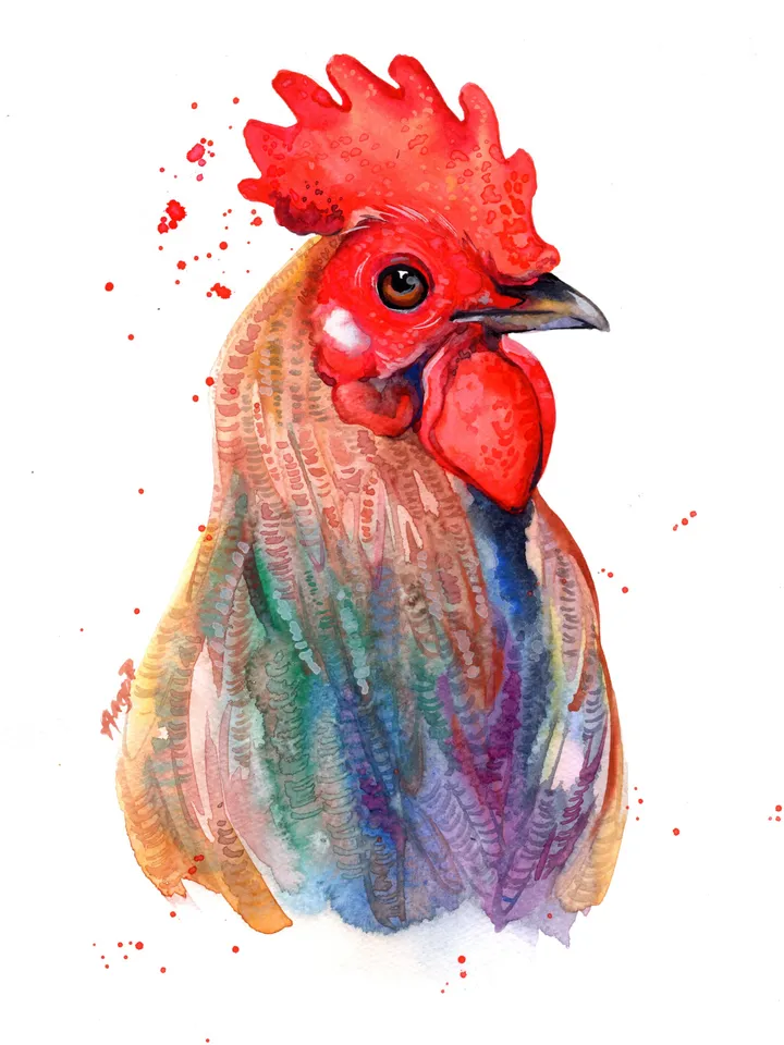 Rooster Original watercolor, farm bird painting, bird lover gift, wall decor, 8x11 in handmade birds art by Anne Gorywine