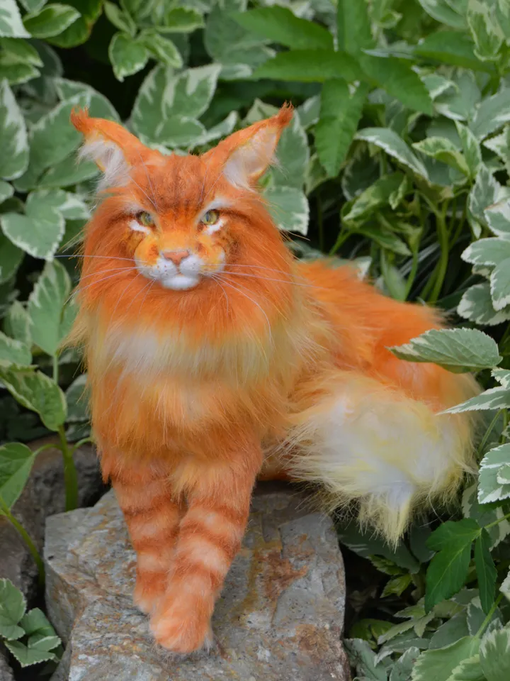 Maine Сoon realistic cat
