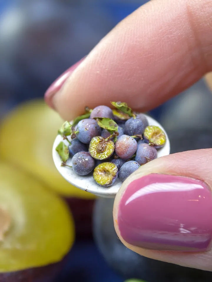 TUTORIAL Miniature cut plum with polymer clay