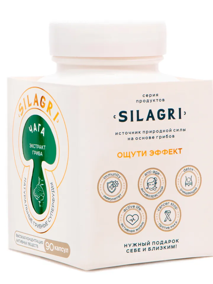 Chaga mushroom capsules 90 pcs.