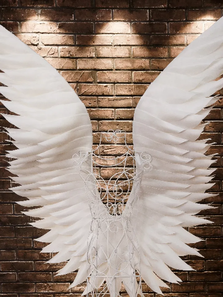 Angelic wings white costume for pregnancy photo shoot,  motherhood photo project, Wings cosplay, Angel wings adult