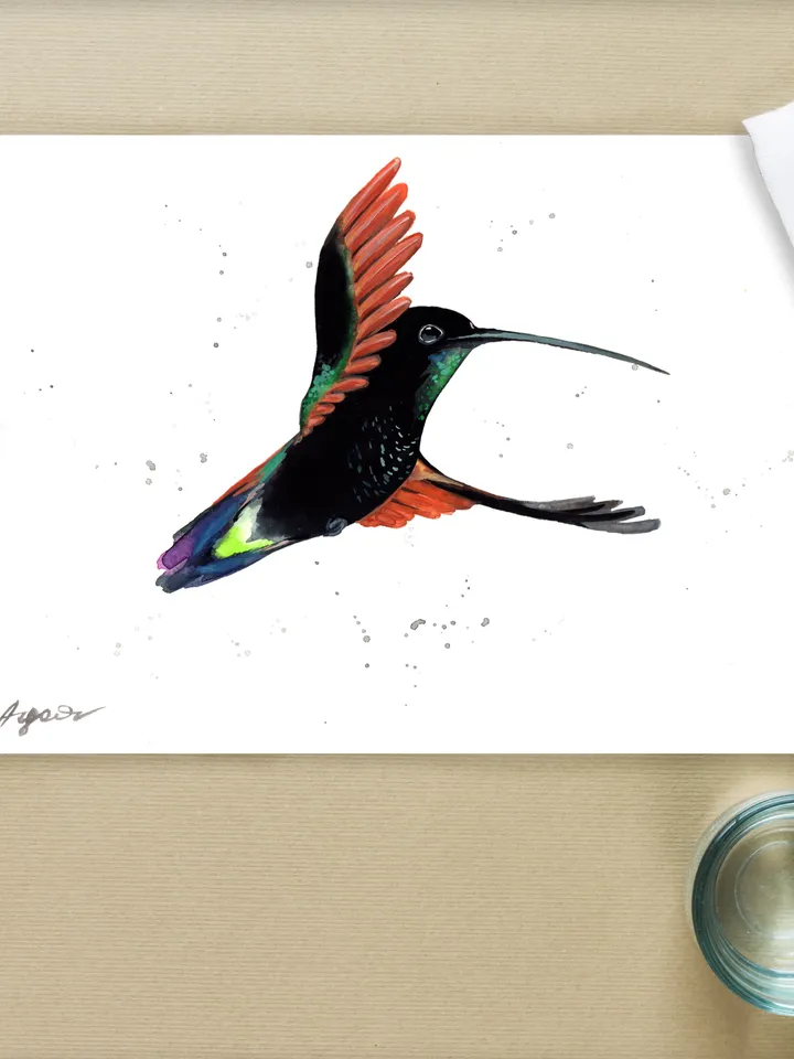 Hummingbird original watercolor painting , bird on the branch, colibri portrait room decor, 8x11 in wall art for bird lovers illustration by Anne Gorywine