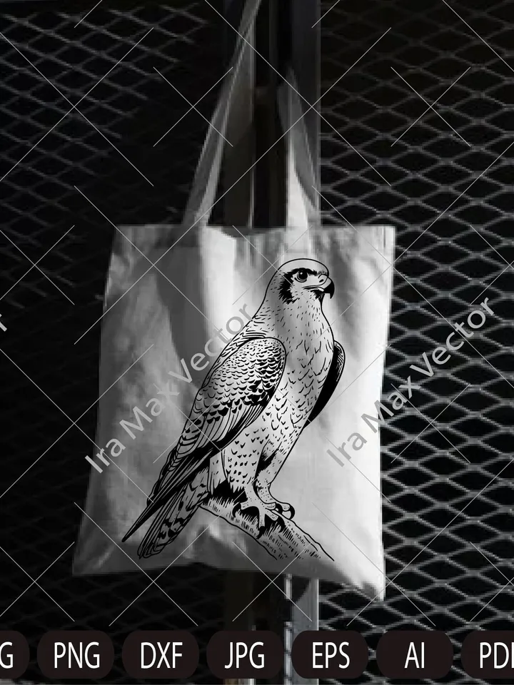Falcon Svg, Falcon Clipart, Falcon Png, Falcon Head, Falcon Cut Files For Cricut , Falcon Silhouette, Bird Silhouette