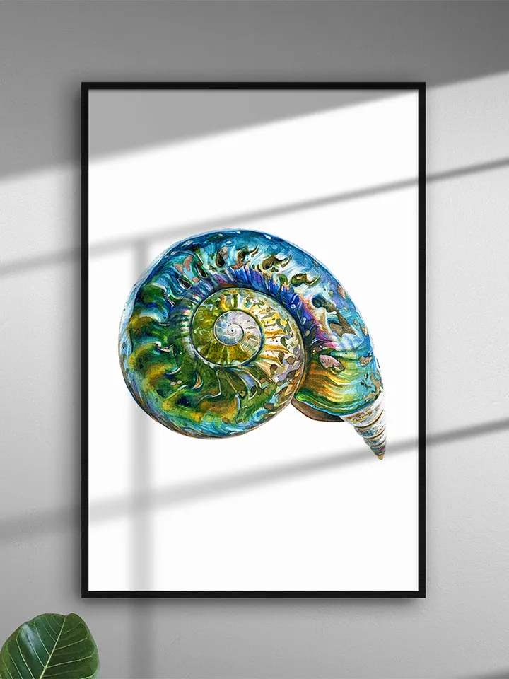 Watercolor PNG clipart, Seashell, Mother of pearl, Pearl seashell, Digital file for printing and design in high resolution.