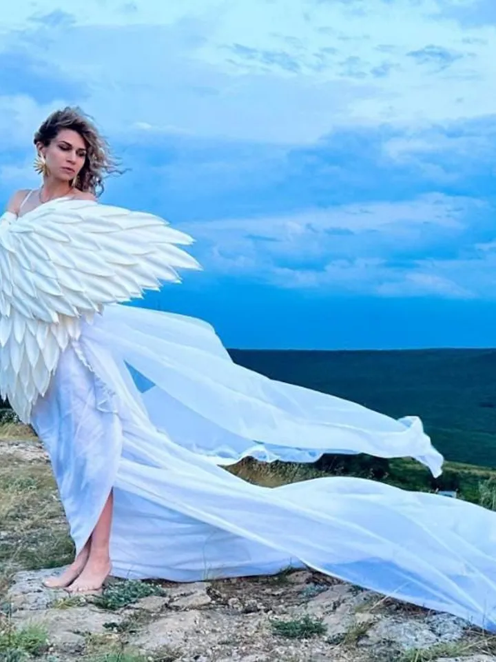 White wings, Christmas wings, sleeves, arms wings, gloves, poultry wings, swan
