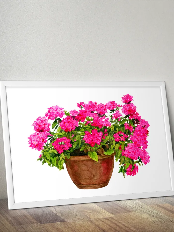 Watercolor botanical clipart, Bright pink flowers in a pot, 2 Digital files PNG and JPEG on transparent and white background, Flower clipart for garden design