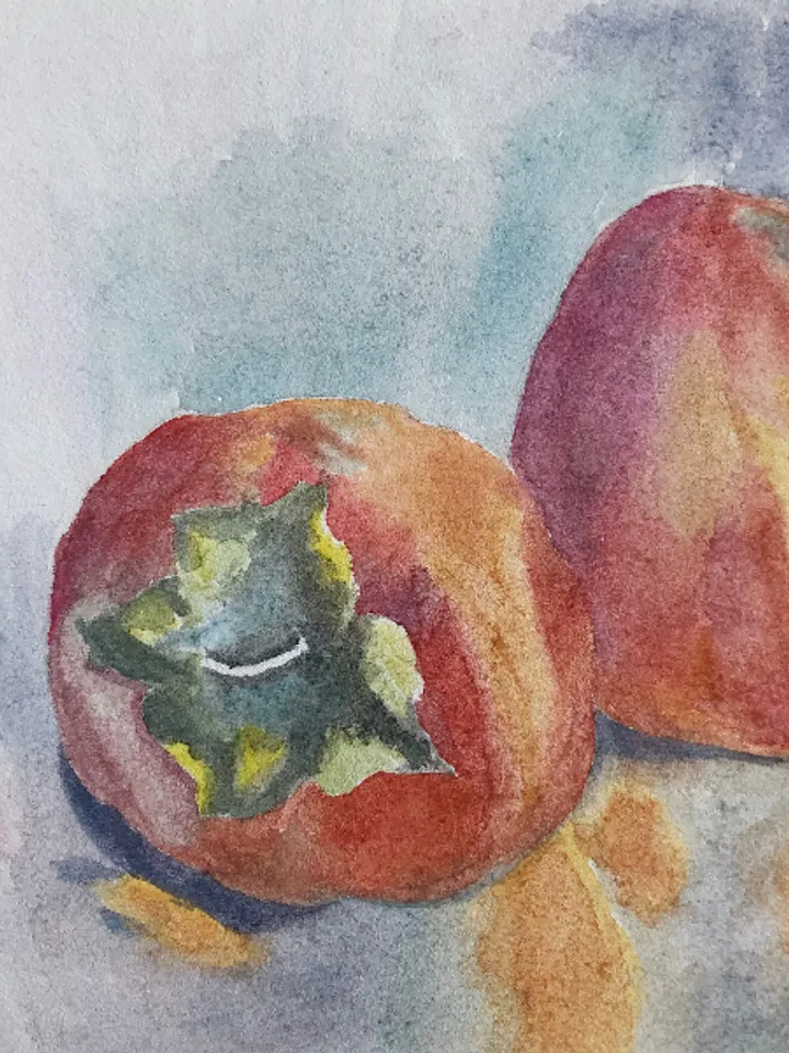 Persimmon original watercolour painting wall art fruit modern painting hand painted paper size 7x9 inches