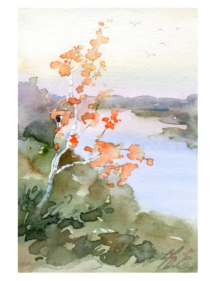 Birch in autumn postcard Original watercolor painting by Yulia Evsyukova