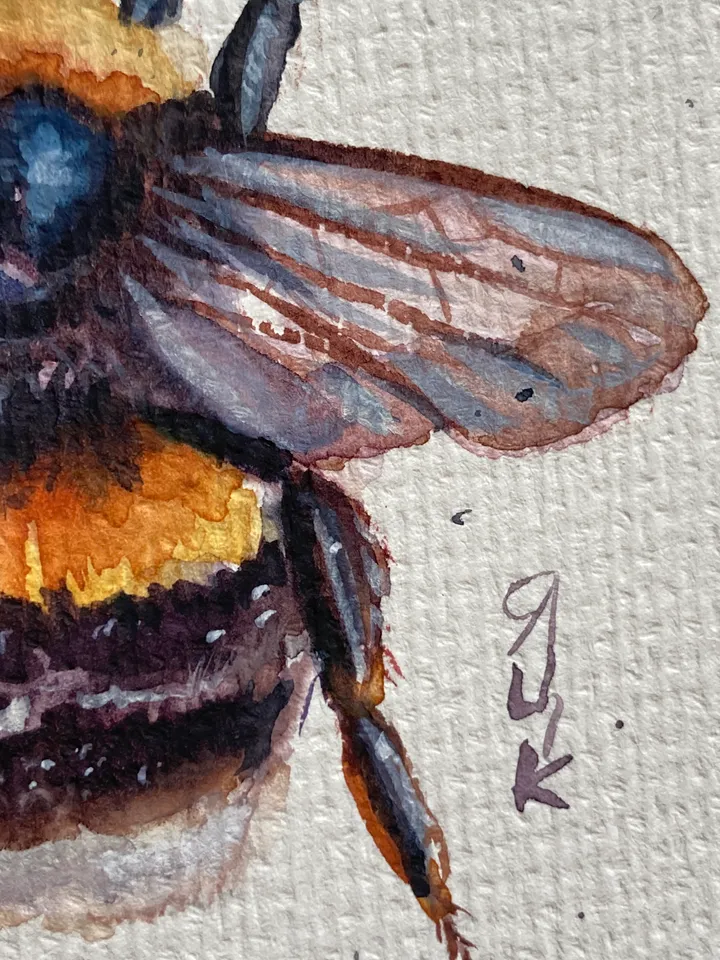 Bee Painting Original Watercolor Painting Gift Small Insect Art Bumblebee Illustration 4x6