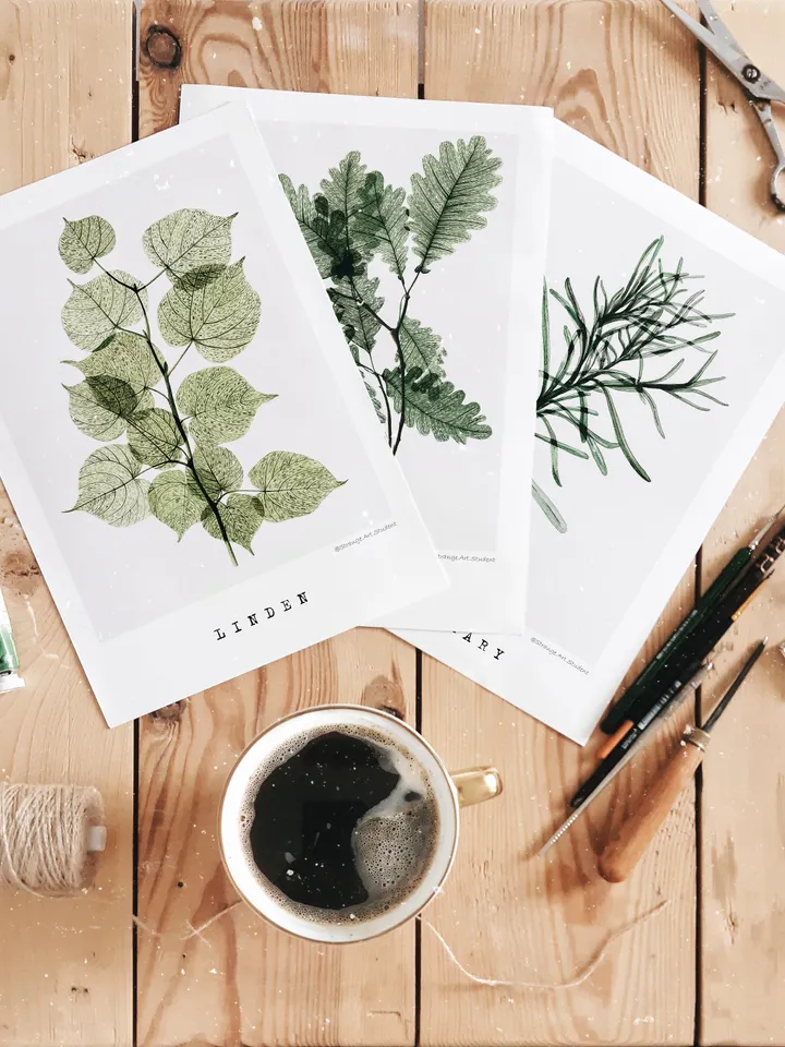 Watercolor posters TRANSPARENT PLANTS size (8"x11") 21x30cm