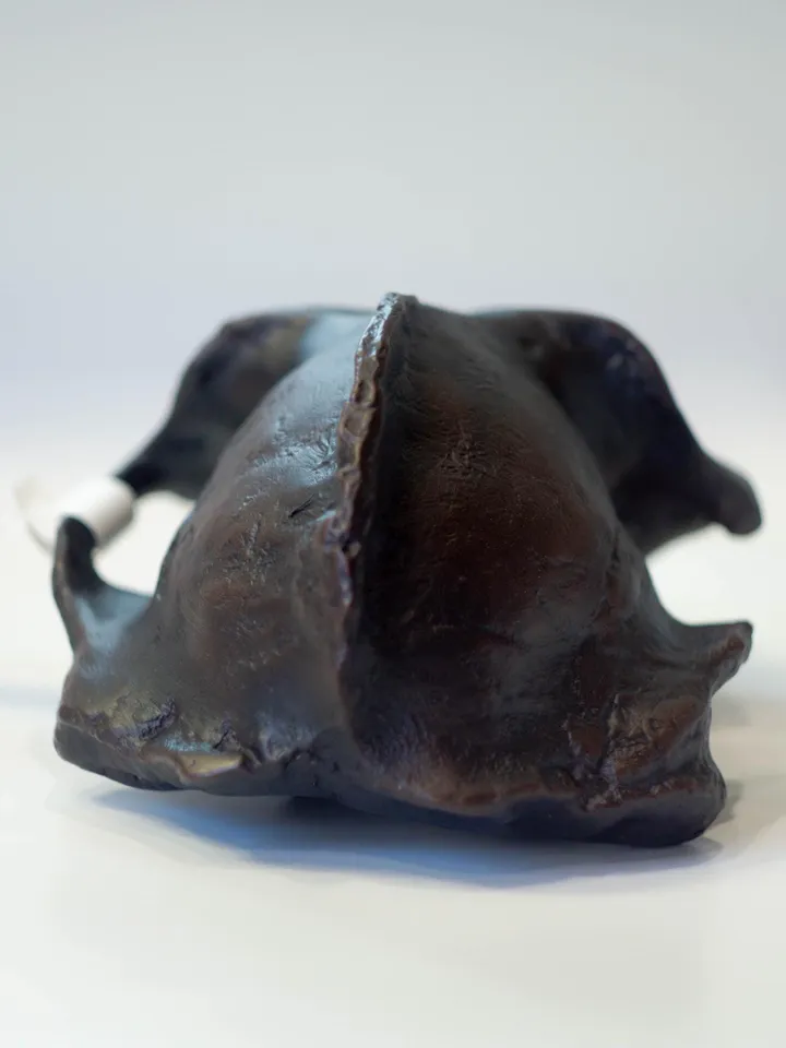 Paranthropus Aethiopicus Skull Replica, Prehistoric Fossil Collection, Realistic Hominid Skull, Museum Quality