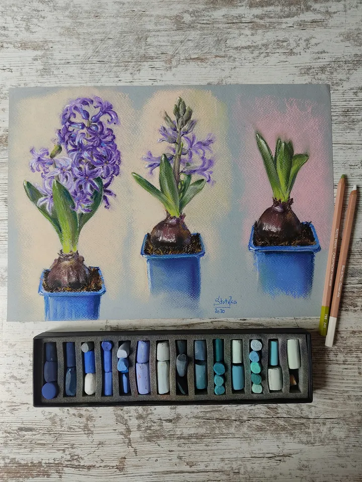 Hyacinth. Stages of flowering. Original soft pastel drawing.