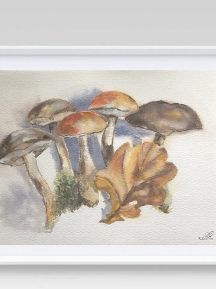 Mushrooms original watercolour painting hand painted modern painting wall art original artwork 8x11 inch