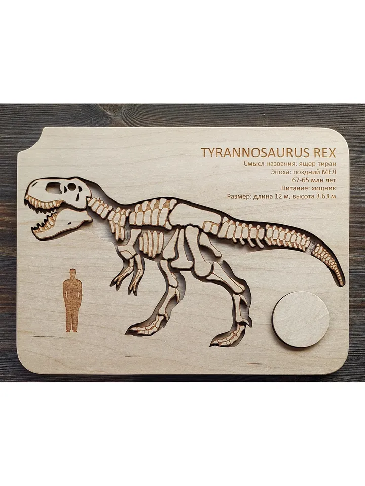 Wooden Puzzle Dinosaur Skeletons Montessori puzzle science play T-Rex puzzle