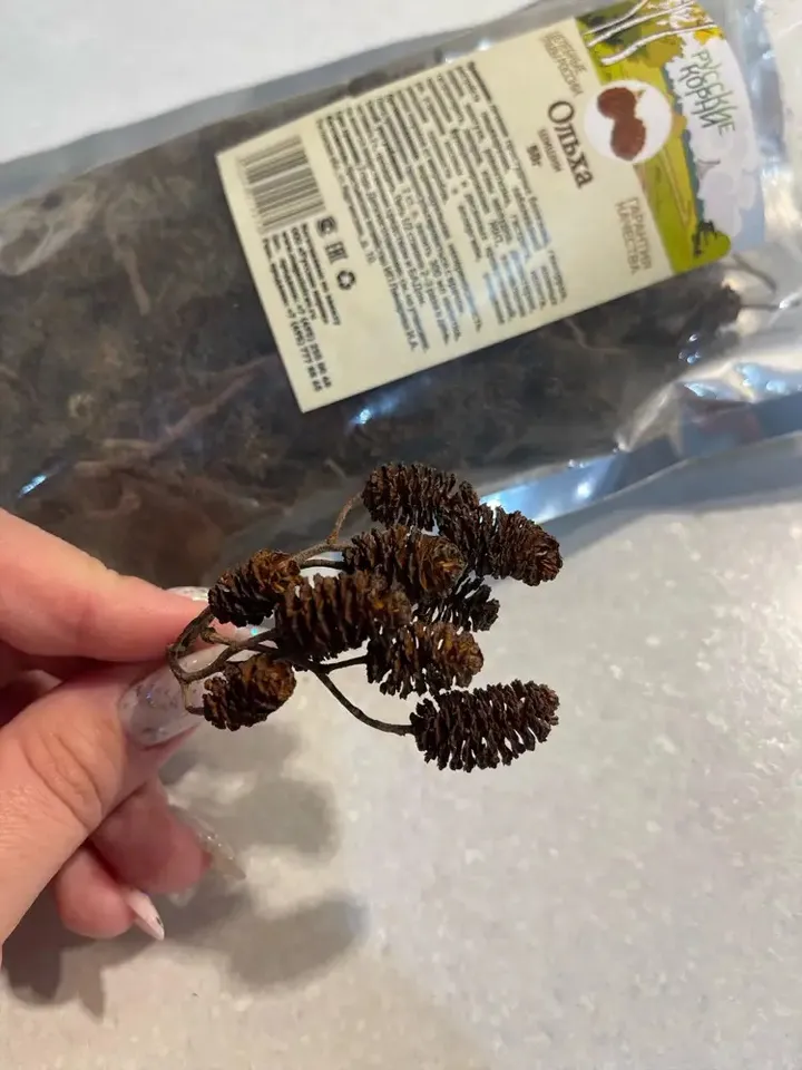 Alder cones 50 g