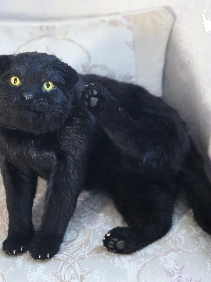 Cat May realistic plush toy. Ooak doll. Art doll animalal