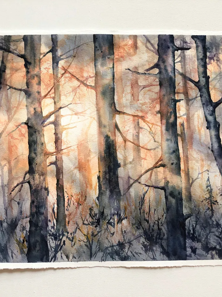 Forest Original Painting Watercolor Sunset Painting Trees Landscape Wall art