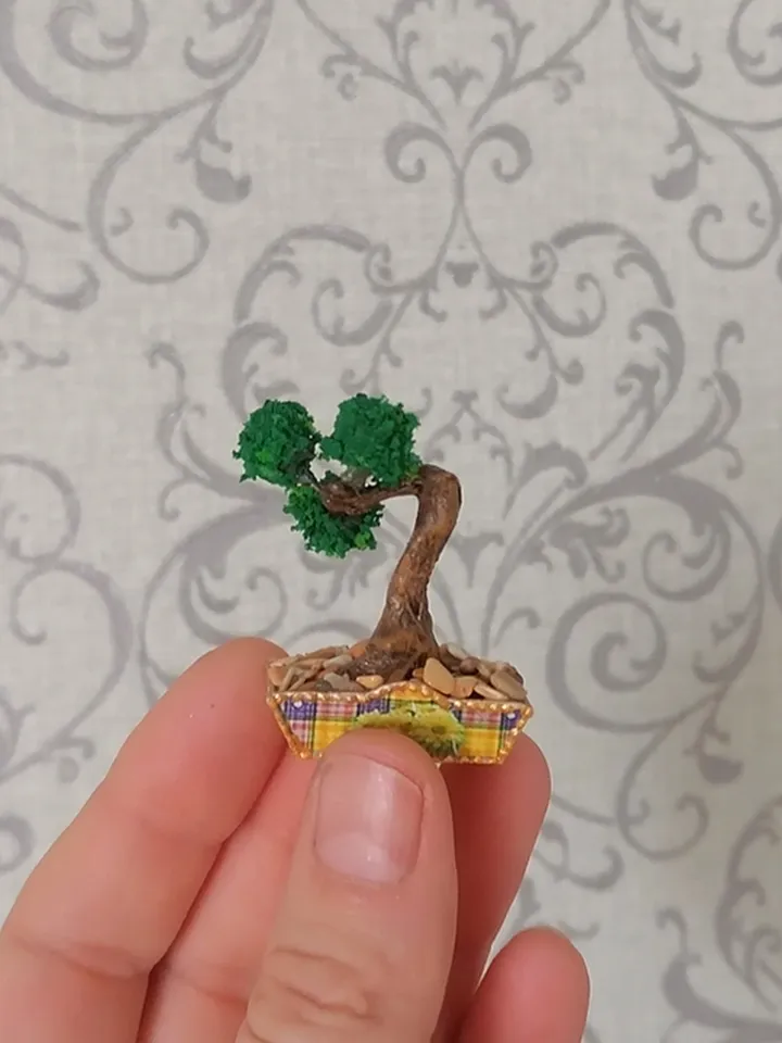 Bonsai. Plant for puppet miniature.Dollhouse miniature.1:12 scale.
