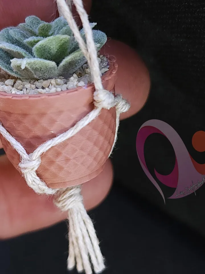 Mini Plant Magnet Tiny Macrame Succulent Hanging Locker Magnet Unique Gift Plant Lover Kitchen Decor Cute Fridge Magnet Gift Under 10