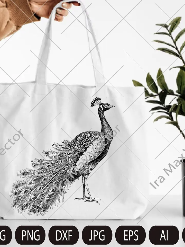 Peacock Svg, Peacock detailed, Peacock clipart, Peacock png, Peacock sketch, Cute Peacock, Bird
