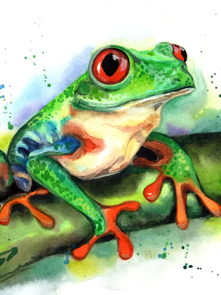 Green frog Original watercolor, frog painting, wall decor, 8x11 in handmade art by Anne Gorywine