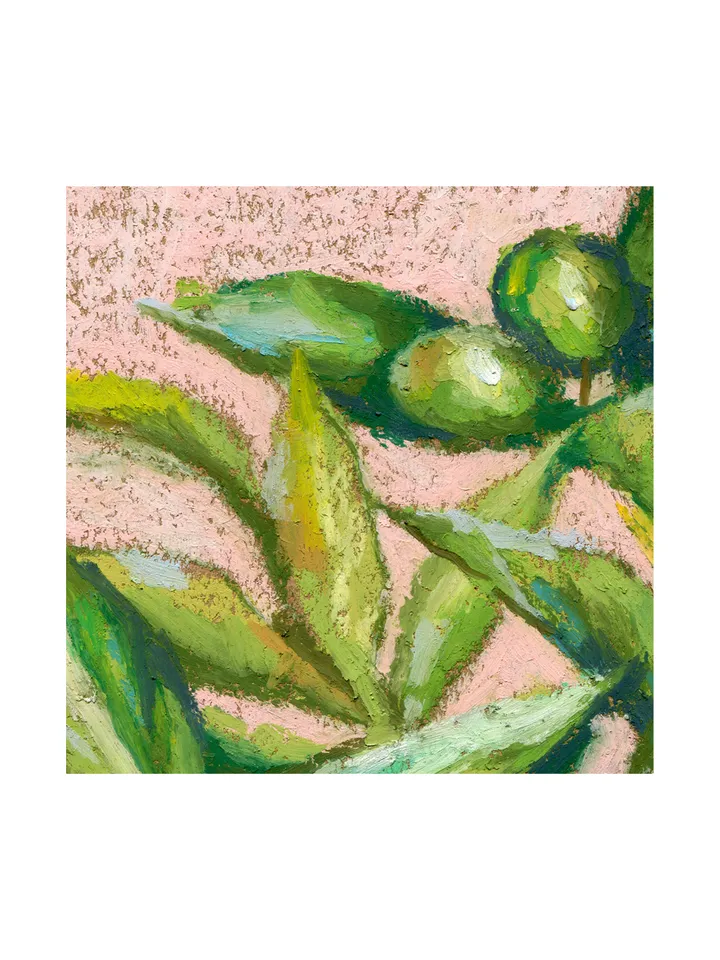 Olive Branch oil pastel drawing on kraft paper А4