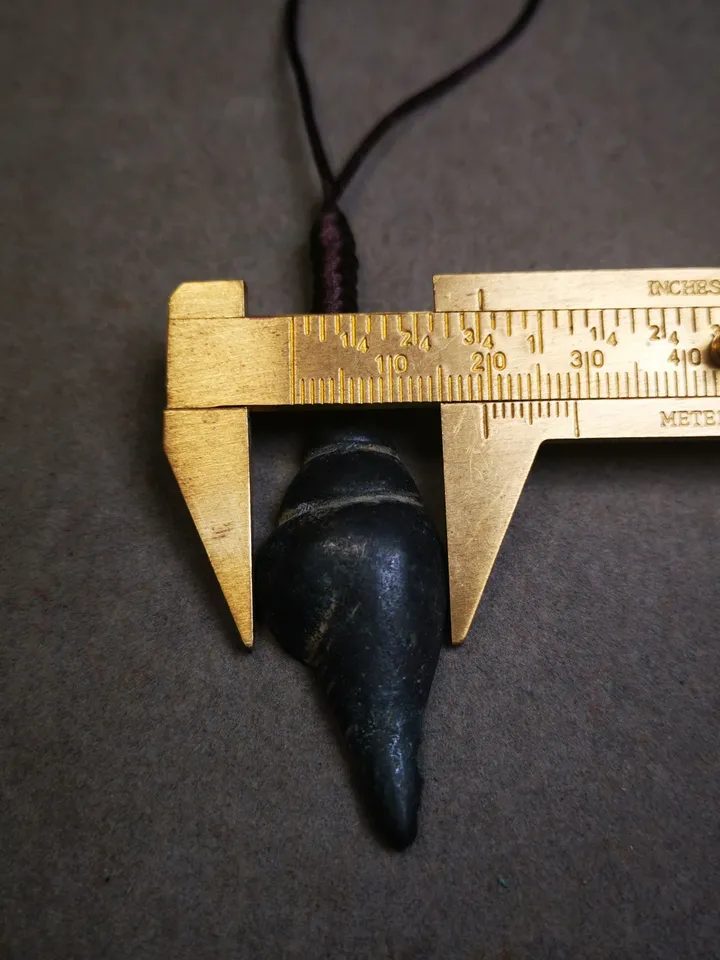 Gandhanra Antique Shankha(Divine Conch) Badge,Tibetan Buddhist Protective Amulet Pendant,Made of Thokcha,60 Years Old