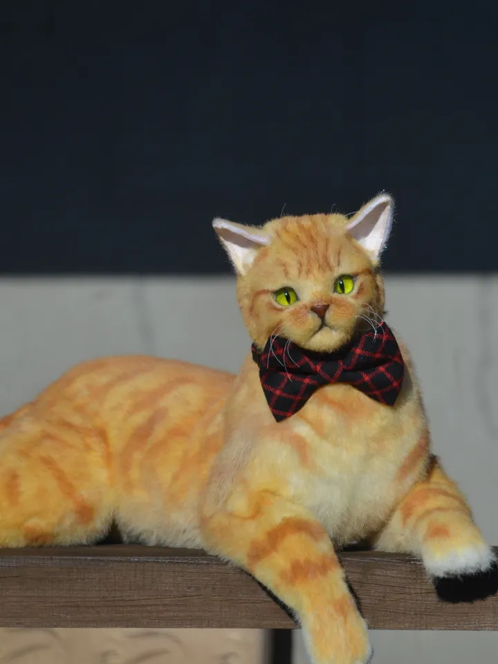 March cat.