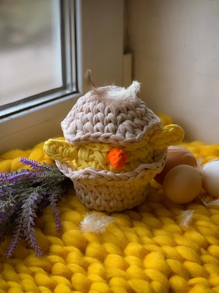 basket chicken egg Easter, crochet interior gift, bedroom livingroom storage, eco friendly basket