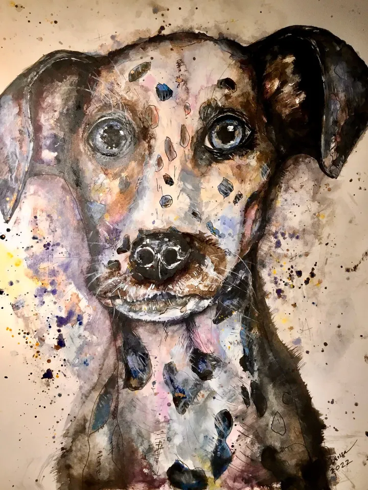 Dalmatian Women’s basic organic t-shirt made with my original watercolor painting,dog lovers wearable gifts,women soft cotton t shirts