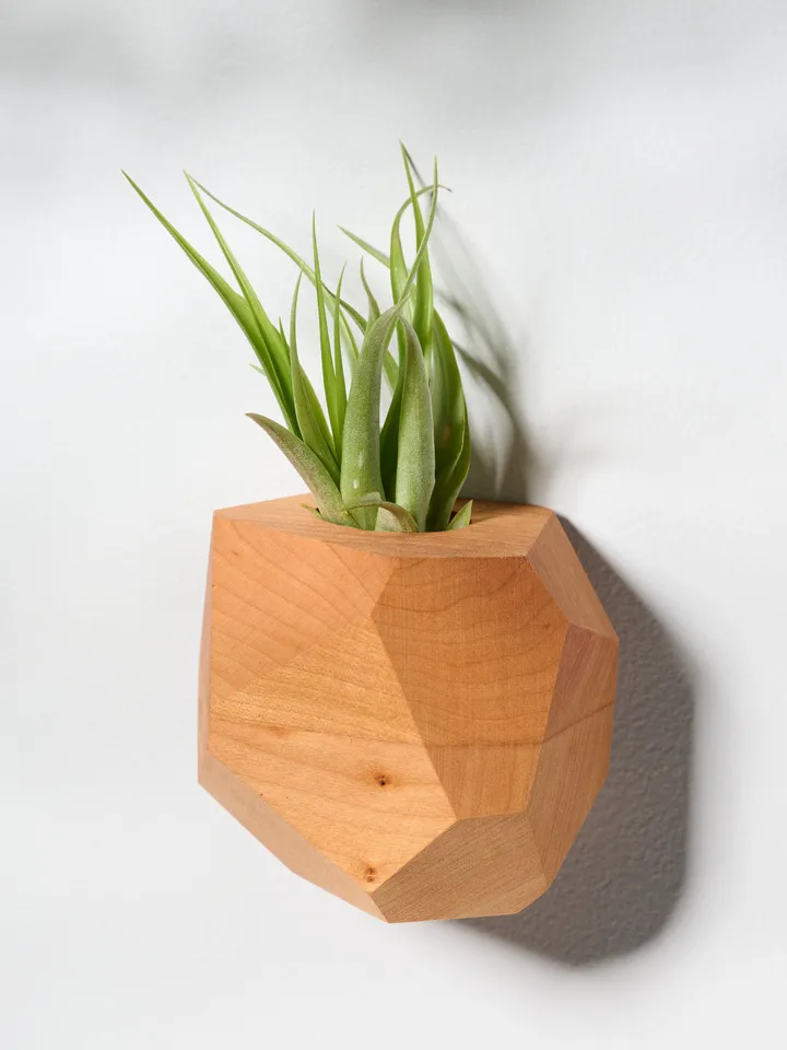 Set of 4 Cherry Geometric Air Plant Holder
