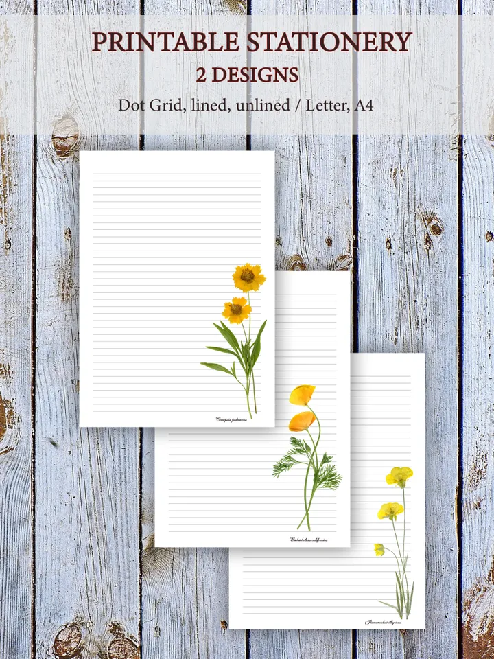 Pressed Flowers Herbarium Printable Letter Writing Paper From Real Dried Plants, Letter Paper, Cute Stationery Set, Digital Letter Writing Set