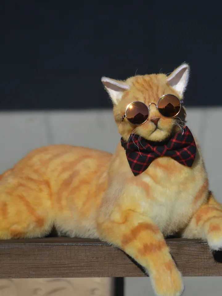March cat.