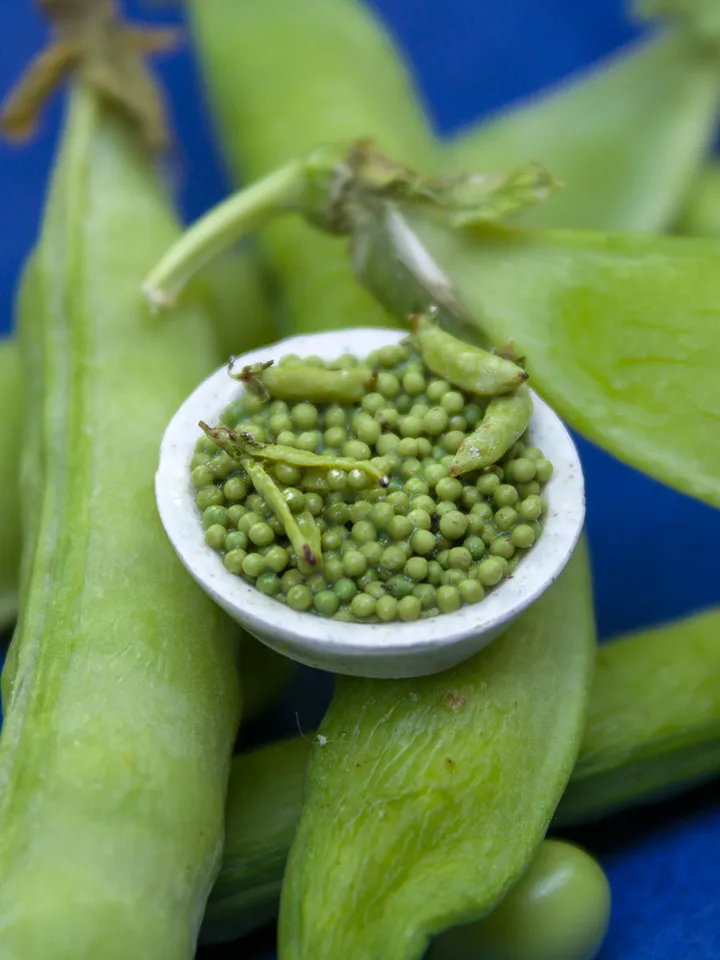 TUTORIAL Miniature peas with polymer clay