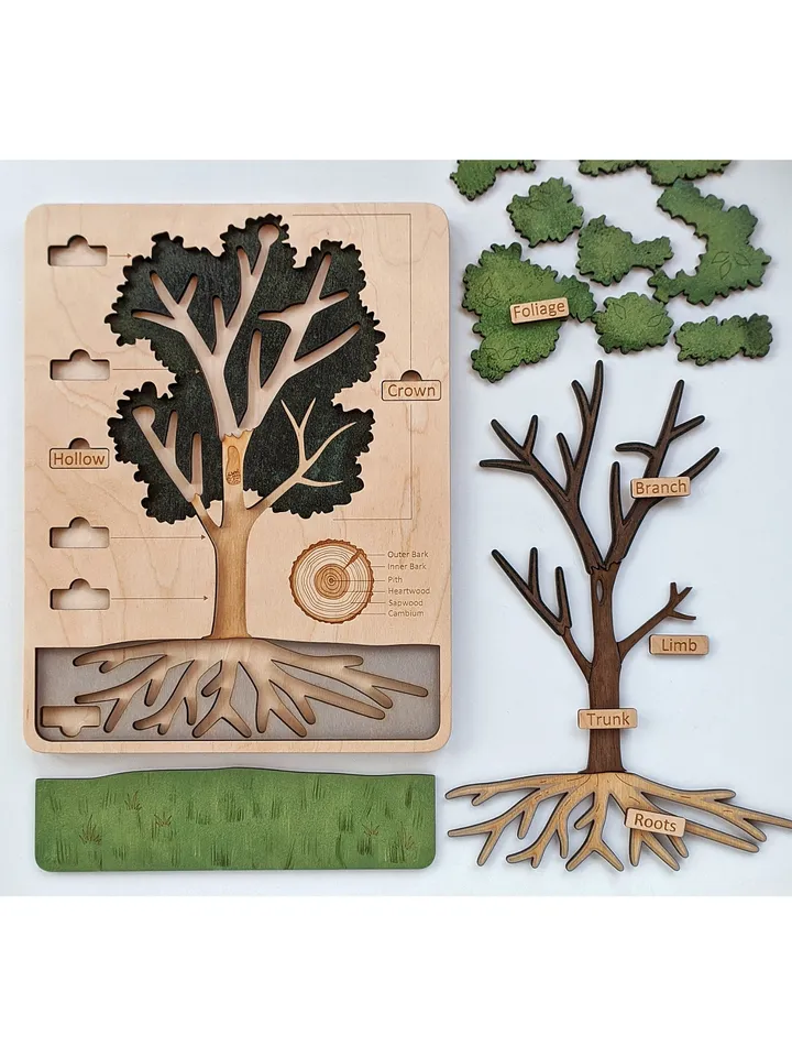 Wooden Tree structure puzzle Montessori Wooden puzzle science play
