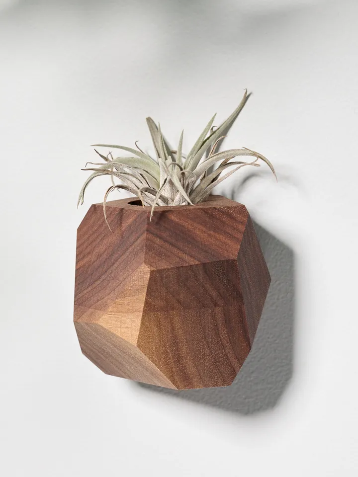 Walnut Geometric Air Plant Holder