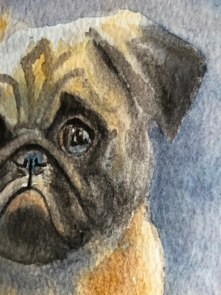 Cute dog pet portrait painting living room wall art original watercolour hand painted modern painting