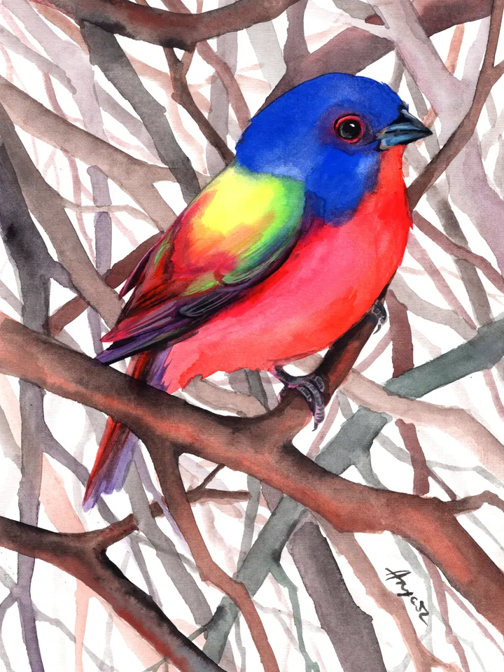 Original watercolor bird , birds painting, wall decor, birds lover gift, 8x11 in handmade art by Anne Gorywine