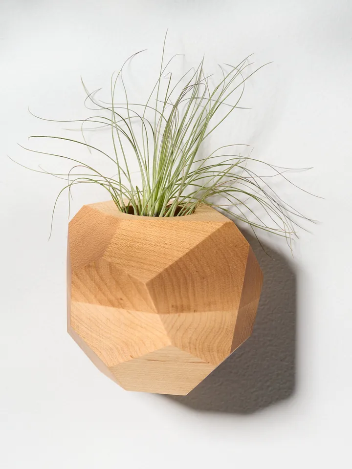 Maple Geometric Air Plant Holder