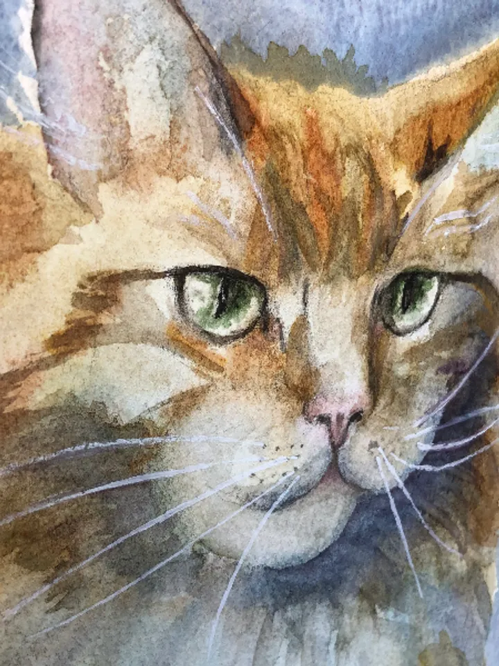 Cat portrait original watercolour painting hand painted