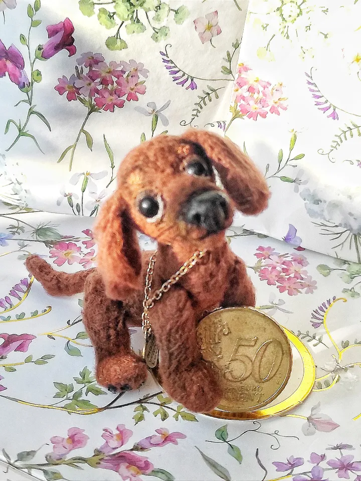 Miniature dachshund