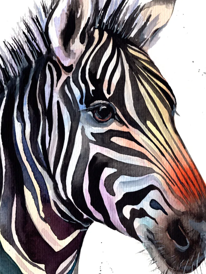 Zebra original watercolor, animal painting, wall decor, 7x10 in room art for wild animals lovers by Anne Gorywine